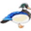 woodenduckshoppe.com
