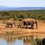 african-outdoors.com