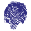 bilimder.org