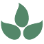 bravenlyglobal.com