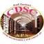 cdsconlus.it