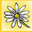daisybeckstudios.com
