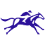 derbymuseum.org