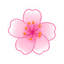 flowersbygrace.us