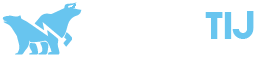 forextij.com