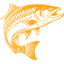 imomags.com