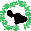 mauiinvasive.org