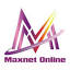 maxnetiig.com