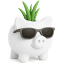 poupaeganha.pt