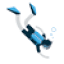 reefencounters.org
