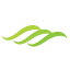 visitcarriagehills.com