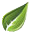 baariz.com
