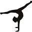 bcgagymnastics.com