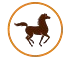 bicec.com
