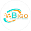 bigoinfotech.com