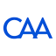 capitalaccountingadvisory.com