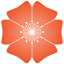 diocal.org