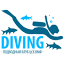 divevmf.ru