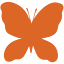 essencenutritionmiami.com