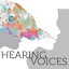 hearingvoicesdu.org