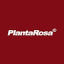 planta-rosa.com