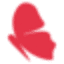 raycreationsindia.com