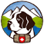saint-bernard.ch