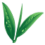teaworld.de