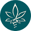 thehempdoctor.com