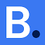 bas.software
