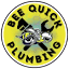 beequickplumbingsewersinc.com