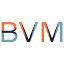 bvmconsultores.cl
