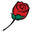 edmundsroses.com