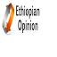 ethiopianopinion.com