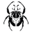 insectcollectorshop.com