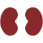 kidneydiet.com