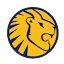 lionscricket.co.za