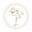 thebeaufortbonnetcompany.com