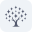 breffi.ru