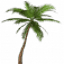 cairnsreef.com.au