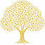dnforum.com