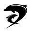 dolphinboats.com
