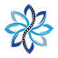 fluxchiropractic.com.au