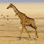 giraffeglobalafrica.com.ng