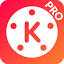 kinemaster.pro