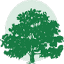 libertyhilldental.com