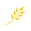 masonnatural.pe
