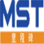 mstpumps.com