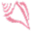 pinkshell.com