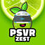 psvrzest.com